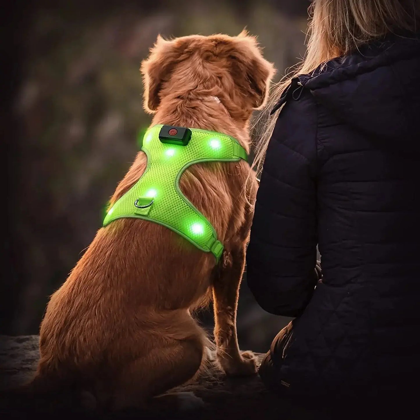 LED Dog Harness, Lighted up USB Rechargeable Pet Harness, Illuminated Reflective Glowing Dog Vest Adjustable Soft Padded No-Pull Suit for Small, Medium, Large Dogs (Green, S)