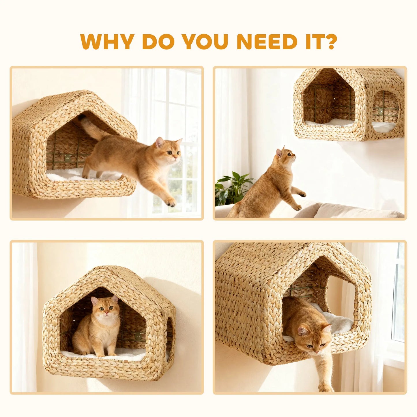 Wall Mounted Cat House Chic Pet Essentials