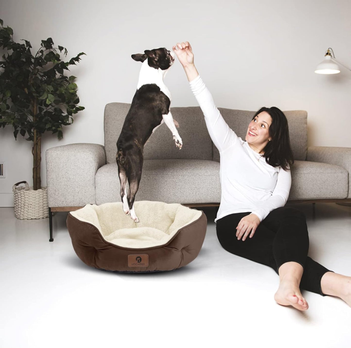 Deluxe Brown Small Dog Bed and Cat Bed - Extra Soft, Water-Resistant, and Machine Washable for Cozy Comfort