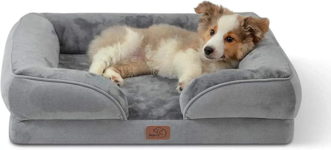 Best Orthopedic Dog Bed for Dogs 2026: Waterproof, Supportive & Durable Chic Pet Essentials