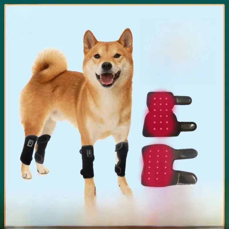 Pet Red Light Physiotherapy Calf Pad teemdrop