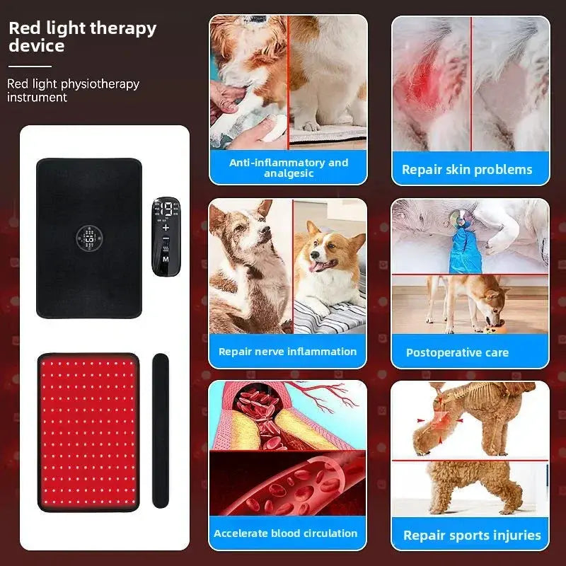 Pet Red Light Physiotherapy Instrument teemdrop