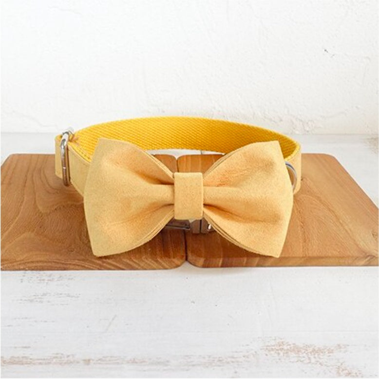 Stylish Yellow Pet Bow Tie Collar & Matching Leash