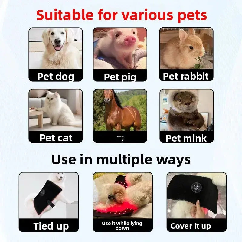 Pet Red Light Physiotherapy Instrument teemdrop