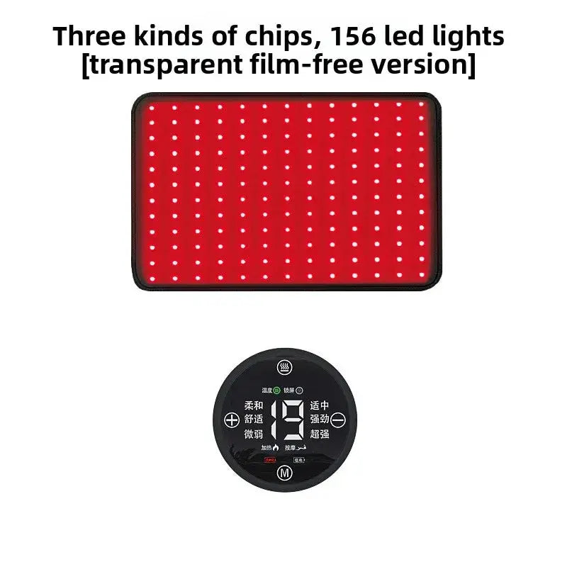 Pet Red Light Physiotherapy Instrument teemdrop