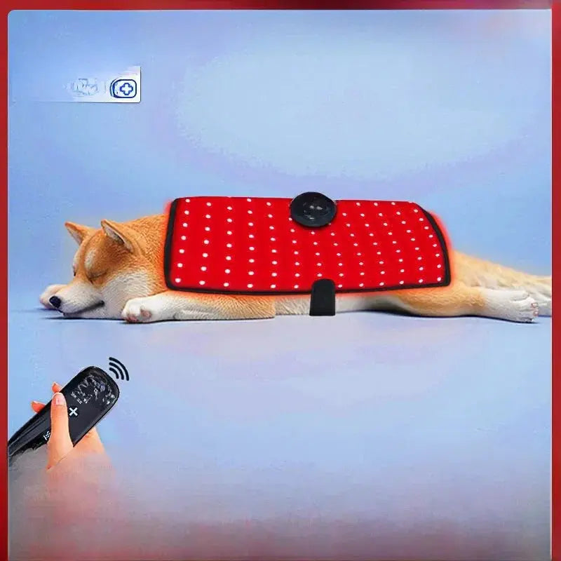 Pet Red Light Physiotherapy Instrument teemdrop