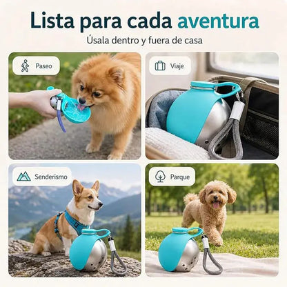Portable Stainless Water Dispenser for Pets