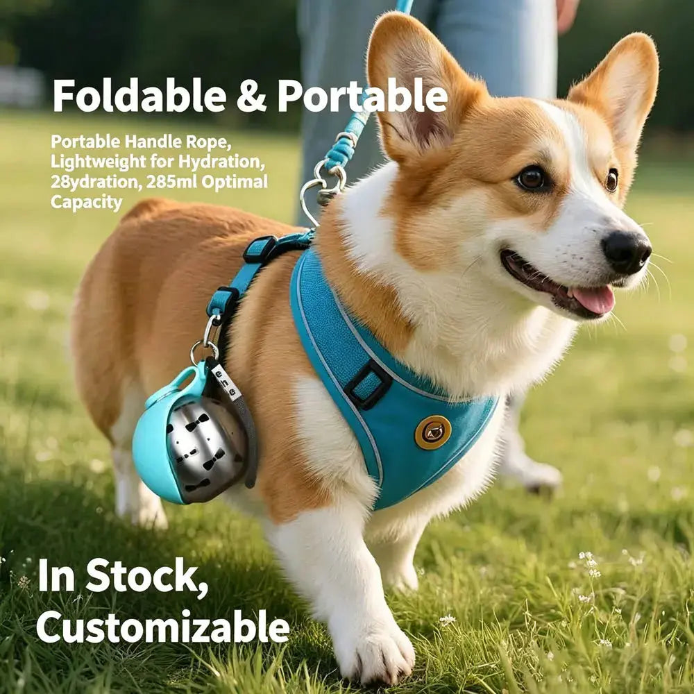 Portable Stainless Water Dispenser for Pets