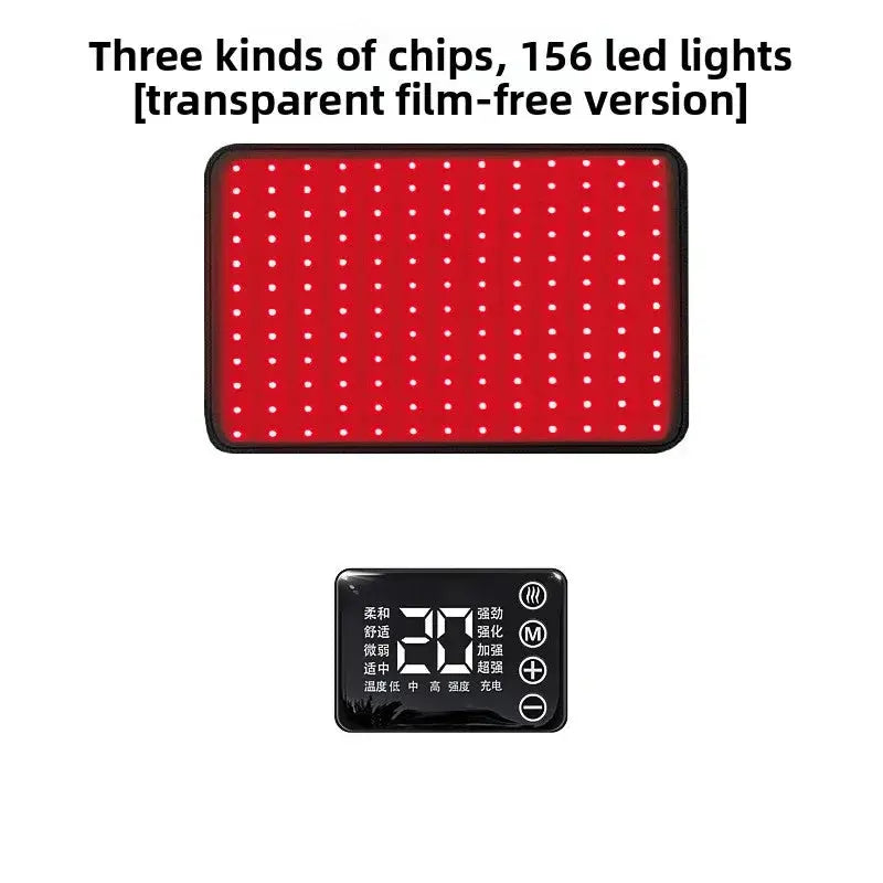 Pet Red Light Physiotherapy Instrument teemdrop