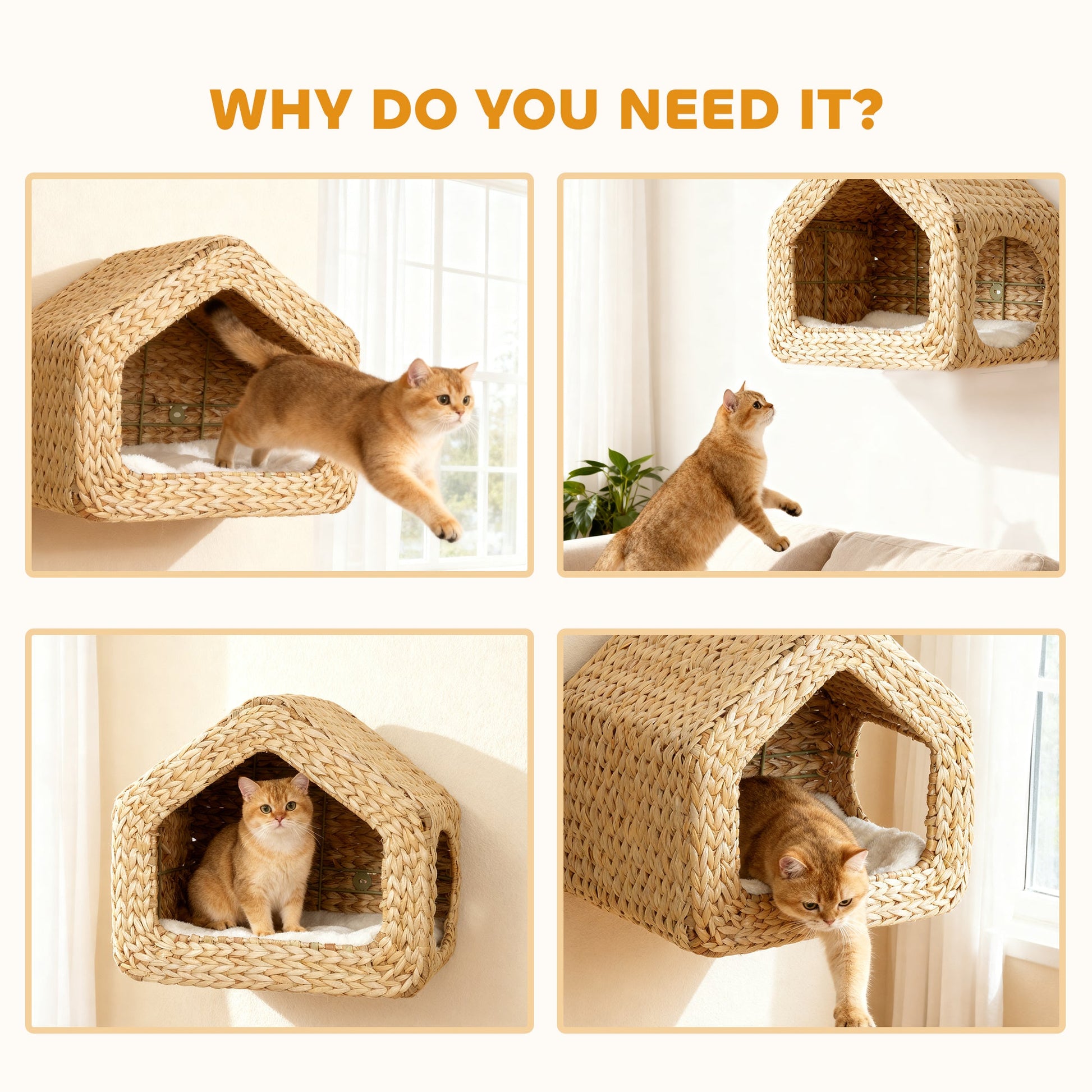 Wall Mounted Cat House Chic Pet Essentials