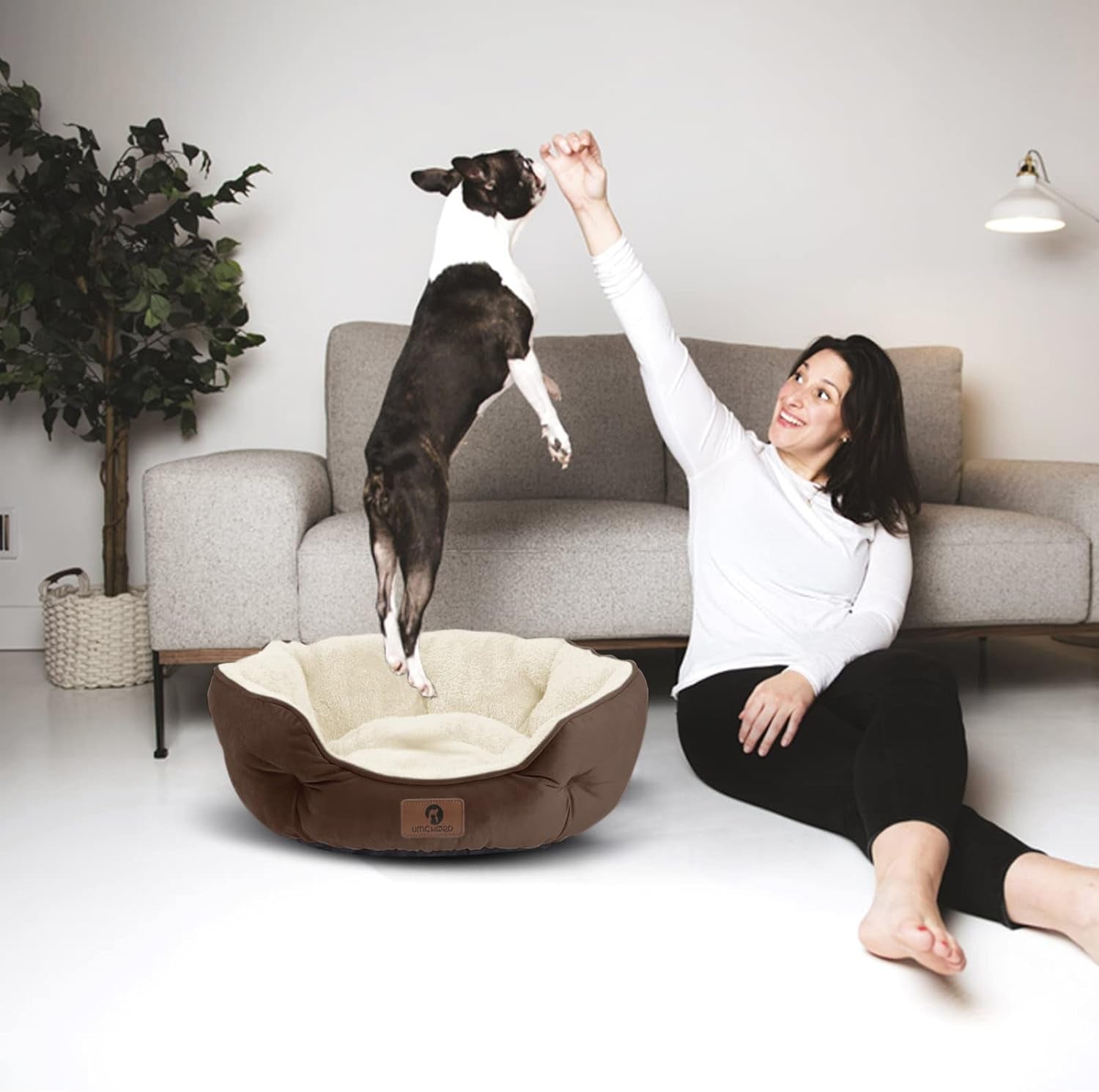 Deluxe Brown Small Dog Bed and Cat Bed - Extra Soft, Water-Resistant, and Machine Washable for Cozy Comfort