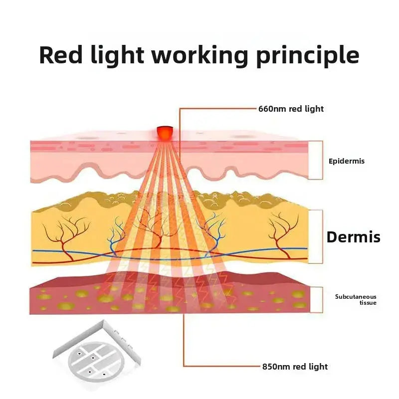 Pet Red Light Physiotherapy Calf Pad teemdrop
