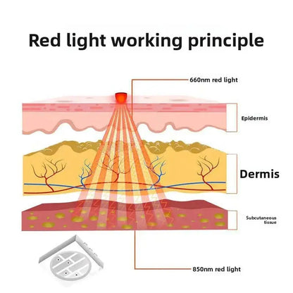 Pet Red Light Physiotherapy Calf Pad teemdrop