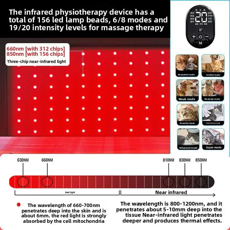 Pet Red Light Physiotherapy Instrument teemdrop