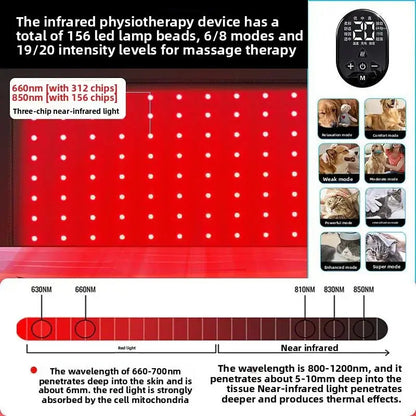 Pet Red Light Physiotherapy Instrument teemdrop